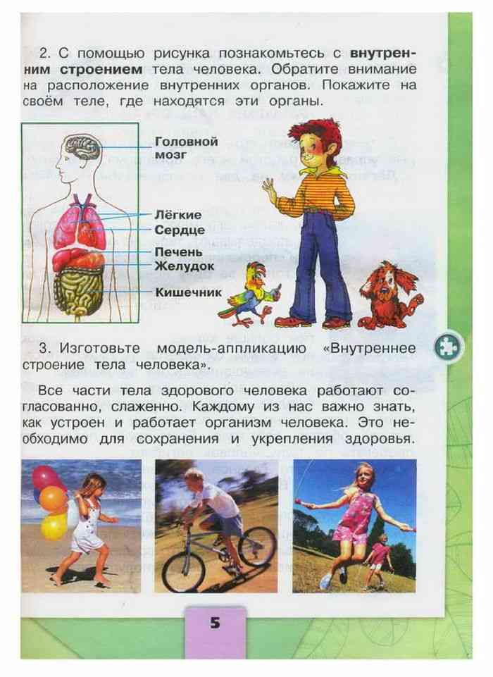 Учебник Окружающий мир 2 класс Плешаков часть 2 читать онлайн